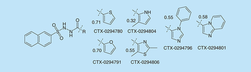 Figure 5. Broader probing of the right hand side aryl ring with commercially available analogues, all of which were inactive, showing the Tanimoto similarity to CTX-0124143.