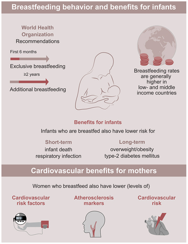 Figure 1. Breastfeeding behavior and benefits for infants and mothers.