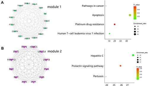 Figure 3 The significant module analysis. (A) DEGs determination within Module 1 and associated KEGG pathways. (B) DEGs determination within Module 2 and associated KEGG pathways.