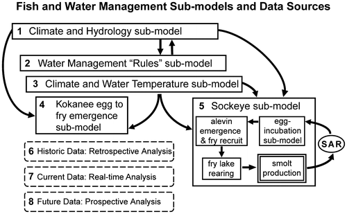 Figure 5. The Fish and Water Management Tool (FWMT) model is a coupled set of four biophysical sub-models (1,3,4,5) of key relationships (among climate/hydrology, fish, water and property) that interact with a fifth, water management “rules” sub-model (2) used to predict the consequences of water management decisions for fish and other water users. FWMT software allows system users to explore water management decision impacts by employing current data (current mode), historic data (retrospective mode) or synthetic, future data (prospective mode) pertaining to water supplies, climate and fish life-history states (6,7,8). Sockeye salmon smolt-to-adult return rates (SAR) are used outside of the model to anticipate future abundance changes.