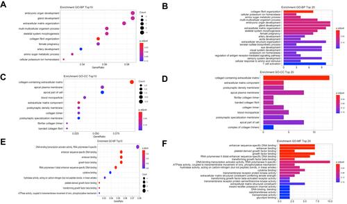 Figure 4 Functional enrichment analysis of common differentially expressed mRNAs. (A) A dotplot of GO biological process (top 10 results). (B) A barplot of GO biological process (top 20 results). (C) A dotplot of GO cellular component (top 10 results). (D) A barplot of GO cellular component (top 20 results). (E) A dotplot of GO molecular function (top 10 results). (F) A barplot of GO molecular function (top 20 results). (G) A dotplot of KEGG analysis (top 20 results). (H) A barplot of KEGG analysis (top 20 results).