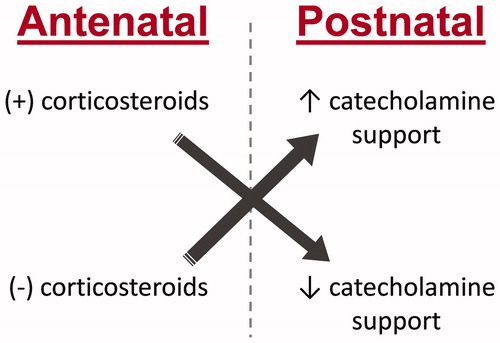Figure 2. Stress hormones and their importance in perinatal care.