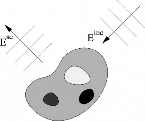 Fig. 1 Scattering problem of electromagnetics.