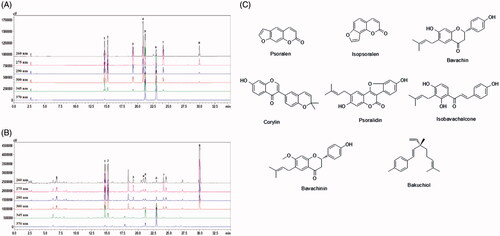 Figure 1. (A, B) HPLC chromatograms of the standard solution (A) and 70% ethanol extract of P. corylifolia (B). (C) Chemical structure of the eight marker compounds of PCE: psoralen (1), isopsoralen (2), bavachin (3), corylin (4), psoralidin (5), isobavachalcone (6), bavachinin (7) and bakuchiol (8).