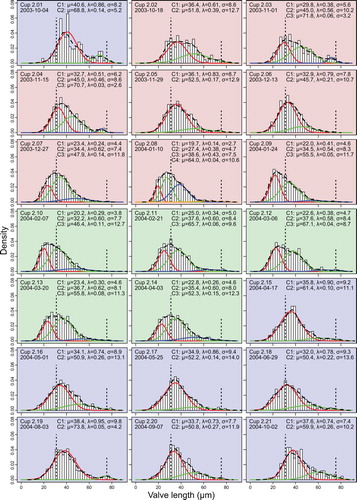 Fig. 3. Distributions of valve lengths and mixtures of univariate normal distributions for sampling year 2003/2004. Background colours red, green and blue depict phases 1, 2 and 3 explained in the text. Histograms show the distribution of measured valve lengths, the dashed curve their density estimate. Vertical dotted lines mark 31 µm, the size limit below which sexual reproduction can occur, and 75.5 µm, the minimal size of initial cells as reported by Assmy et al. (Citation2006). Coloured curves depict the component normal distributions C1-Cn, the corresponding parameters are given in the graphs. Note that curves appearing in the same colour at different time points are not implied to correspond to the same cohort (colour online).