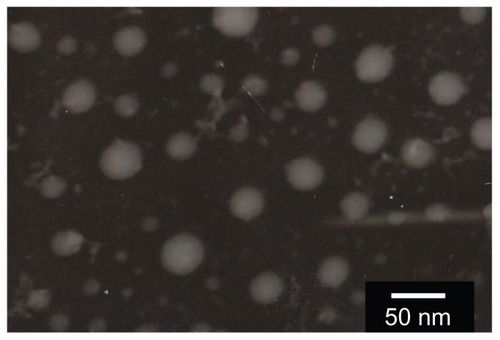 Figure 3 Transmission electron microscope micrographs of curcumin-loaded self-microemulsifying drug delivery system with the scale bar for the image representing 50 nm.