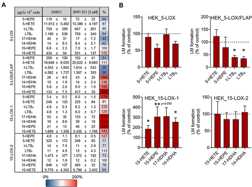 Figure 3 Modulation of LM biosynthesis in HEK293 cells transfected with LOX isoforms by BRP-201; impact of co-expression of FLAP with 5-LOX. HEK293 cells (2 ×106) transfected with human recombinant 5-LOX, 5-LOX and FLAP, 15-LOX-1 or 15-LOX-2 were resuspended in PBS containing 1 mM CaCl2 and 0.1% glucose, incubated with vehicle (0.1% DMSO) or BRP-201 (3 µM) for 15 min at 37°C and then stimulated with A23187 (2.5 µM) plus AA (1 µM) at 37°C for 15 min. Afterwards, the formed LMs were extracted from the supernatants using SPE and analyzed by UPLC-MS/MS. Data, given as mean ± SEM, are shown as (A) absolute values in pg/2×106 cells, and (B) as percentage of BRP-201-treated cells versus vehicle control (100%), n=3. Statistical analysis was performed via logarithmic paired t-test, * p<0.05, ** p<0.01.