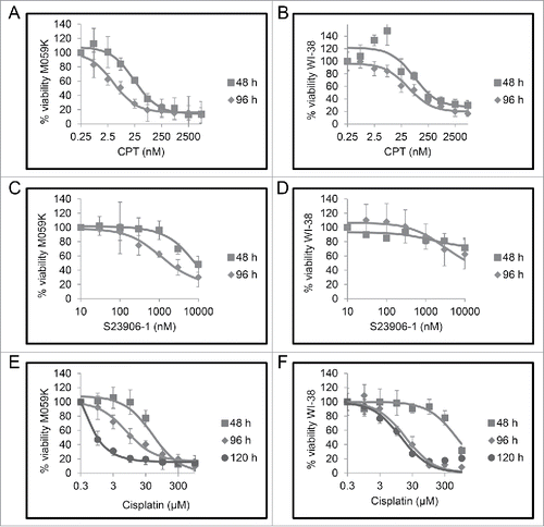 Figure 2. Cells treated with increasing concentrations of genotoxic agents have reduced cell viability. M059K and WI-38 cells were treated with increasing concentrations of either camptothecin (CPT) A and B, S23906-1 C and D, or cisplatin E and F for either 48 h (squares), 96 h (diamonds), or 120 h (circles). Cell viability was measured using the MTT assay. Means of 3 experiments and standard errors of means are shown.