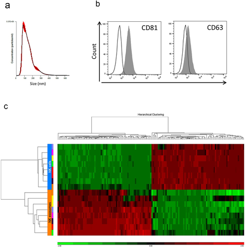 Figure 1. Comprehensive miRNA expression in NK cells and exosomes. (a) Histogram representing the size distribution of particles from NK-exo samples revealed by Nanoparticle Tracking Analysis (NTA). A representative NK-exo sample is shown. (b) Flow cytometry analysis of NK exosomes stained with anti-CD81 and anti-CD63 exosome markers. Grey histograms represent stained samples, white histograms unstained controls. A representative experiment is shown. (c) Hierarchical clustering of NK cells and exosomes samples analyzed by miRNA microarray. Rows represent samples; columns represent the top 148 mature miRnas (74 up-regulated in exosomes, 74 up-regulated in NK cells) differentially expressed between NK-exo and NK cells (FDR p-value ≤0.05).