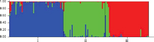 Figure 5. Three subpopulations among reference set accessions of ramie identified by structure analysis.