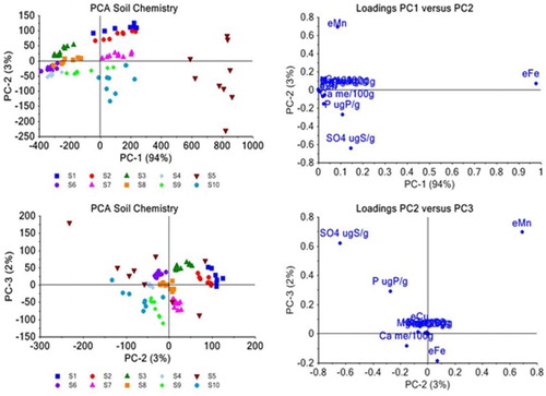 Figure 1. PCA plots and related loading plots of the soil chemistry data for all 10 soils. Individual soils are labelled and coloured separately to show soil groupings. PCA loadings plots show the influence of soil compositional data related to the separations in the PCA plots. A, PC1 vs PC2; B, loadings PC1 vs PC2; C, PC2 vs PC3; D, loadings PC2 vs PC3.