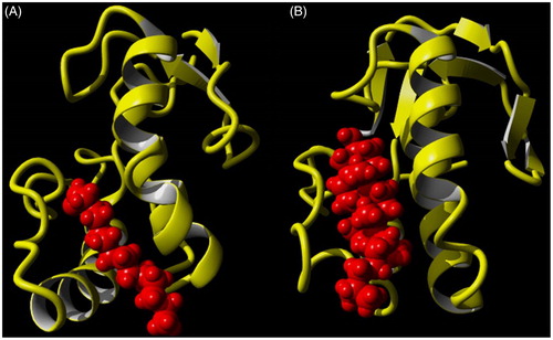 Figure 3. Lipid binding sites of the Fz domains of Frizzled and Smoothened receptors. (A) Structure of the Fz domain of Frizzled-8 in complex with the palmitoleic acid side-chain of Wnt8 ligand (4f0a.pdb). The backbone structure of the Fz domain is shown in yellow, the palmitoleic acid side-chain of Wnt8 is highlighted in red. (B) Structure of the Fz domain of Smoothened in complex with cholesterol ligand (6D35.pdb). The backbone structure of the Fz domain is shown in yellow, the cholesterol ligand is highlighted in red.