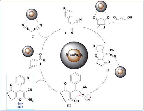 Scheme 2. Proposed mechanism for the synthesis of 4H–chromene derivatives by using mica/Fe3O4.