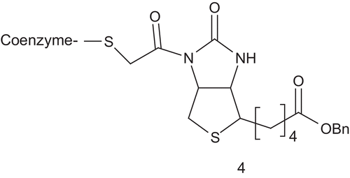 Scheme 3.  Bisubstrate analogs for acetyl-CoA carboxylase.