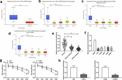 Figure 1. miR-195-3p is lowly expressed in NPC tissues and cells