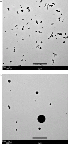 FIG. 12. TEM images of Pyrell smoke for flow (left image) and no-flow (right image). Black scale bar in the bottom of each images is 5 μm in length.