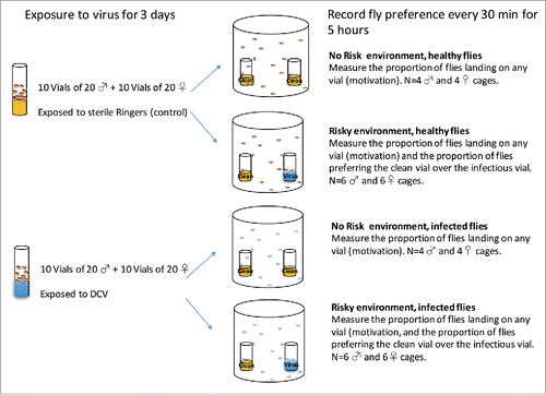 Figure 4. Schematic of the experimental setup.