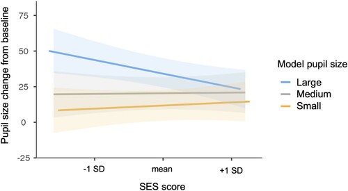 Figure 1. Variation in pupillary contagion in the neutral expression trials by socioeconomic status. Pupil size changes are shown using the arbitrary units recorded by the eye tracker. SES score is a continuous, standardised variable. Shaded areas indicate 95% confidence intervals.