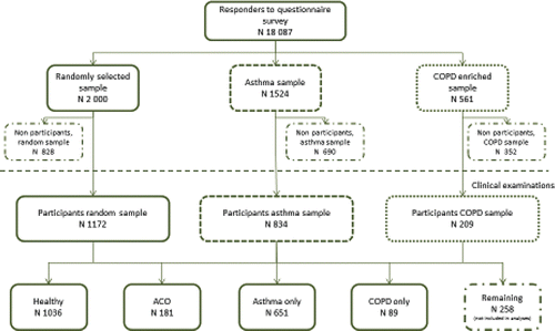 Figure 1. Flow chart of the West Sweden Asthma Study.
