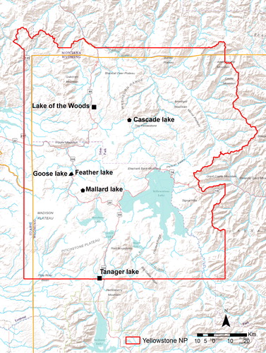Figure 1. Sample site map. All lakes fall within the boundaries of Yellowstone National Park (thick red line). Lake paired replicates are designated by symbol (triangle, square, pentagon).