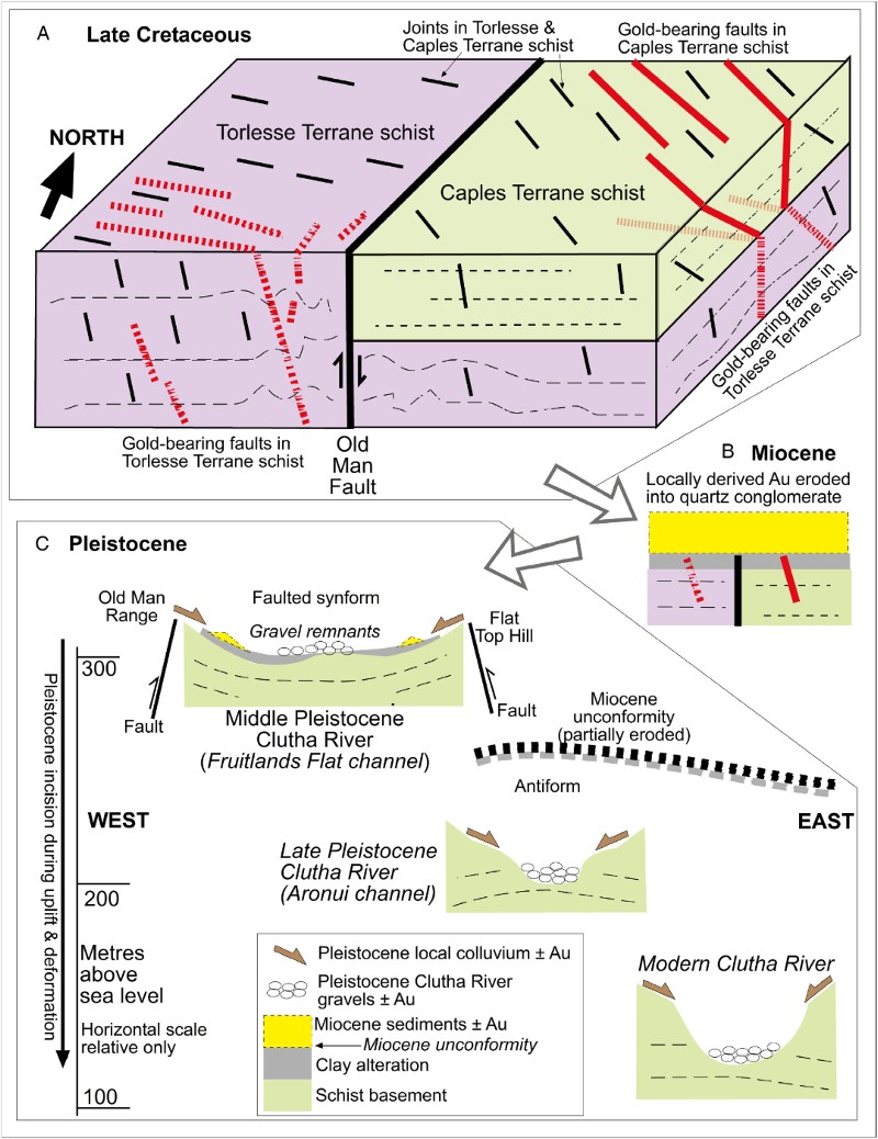 Figure 12 Conceptual sketches showing key stages in the evolution of the gold deposits of the Old Man Range. A, Block diagram contrasting the structure of orogenic gold deposits in Late Cretaceous faults cutting Torlesse and Caples Terrane schist basement. B, Miocene non-marine sediments collect some placer gold from underlying schist basement. C, Progressive downcutting of the Clutha River in the Pleistocene has facilitated gold placer formation, mainly from locally derived mineralised faults.