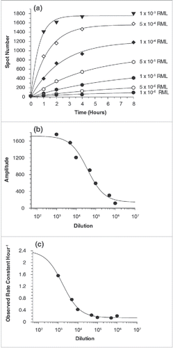 FIGURE 5. (See next page). Kinetics of RML prion infection. In the standard SCA, cells are incubated with prions for three days before splitting. To assess the kinetic of prion infections the RML incubation period was reduced from 72 to 1, 2, 4 and 8 h. (a) Plot of time course of infection with RML showing the number of spots as a function of the time of exposure at a series of RML prion concentrations. The lines represent fits to the data according to a single-exponential function. (b) Plot of the amplitudes of the fits shown in (a) as a function of the concentration of RML, fitted to a simple hyperbolic binding curve. (c) Plot of the first-order rate constants in (a) as a function of RML concentration and fitted to the equation kobs = offset + kmax.[RML]/(K+[RML]). The data shown and analyzed are the mean of the two independent data sets.