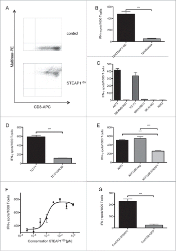 Figure 1. ES specificity of STEAP1130-specific T cell line P2A5. (A) Multimer staining of STEAP1130-P2A5 with CD8-APC and specific HLA-A*02:01/STEAP1130 multimer (bottom) or irrelevant multimer as control (top) (B–D), IFNγ release of STEAP1130-P2A5 during co-culture with STEAP1130 and influenza-pulsed T2 cells, respectively. (B) HLA-A*02:01+ (A673, TC71) and HLA-A*02:01− (SB-KMS-KS1, SK-N-MC, K562) tumor cells expressing STEAP1 or lacking STEAP1 expression (MHH-NB11). (C) TC-71 cells with and without MHC-I specific blocking mAB W6.32. (D) A673 cells with and without STEAP1 knock down. (E) T2 cells pulsed with titrated amounts of STEAP1130 peptide. (F) Cos 7 cells transfected with HLA-A*02:01 and either STEAP1 or GFP. (G) All analyzed in triplicates via IFNγ ELISpot. Error bars indicate SEM. p values < 0.05 were considered as statistically significant (*p < 0.05; **p < 0.005; ***p < 0.0005).