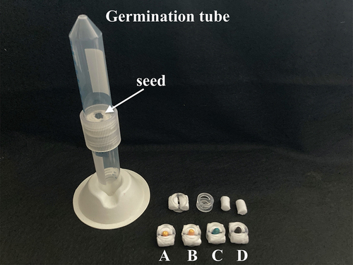 Figure 1. Corn seed germination and seed water uptake studies were carried out using a specifically designed test tube system (left). Seeds (A: control; B: dewaxed; C: commercially treated; D: biochar treated) were secured between two cotton plugs at the junction of two test tubes held together by a threaded sleeve created with a 3D printer.