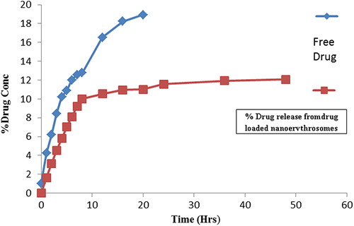 Figure 2. Cumulative percentage of pyrimethamine released from free drug solution and pyrimethamine-loaded nanoerythrosomes.