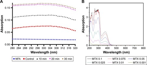 Figure 4 UV–visible spectroscopy demonstrating controlled release of MTX under AMF and its quantification.Notes: (A) MTX-conjugated NFAs were subjected to AMF for 10, 20, or 30 min and absorption was measured at 304 nm. (B) UV–visible spectroscopy of free MTX at concentrations of 0.001, 0.01, 0.025, 0.05, 0.075, and 0.1 mg/mL.Abbreviations: UV, ultraviolet; NFA, Fe–Au alloy nanoparticles; MTX, methotrexate; AMF, applied magnetic field.