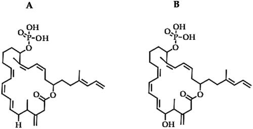 Figure 11. Illustration of the structures of difficidin (A) and oxydifficidin (B).