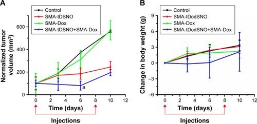 Figure 10 Effect of SMA-tDodSNO and SMA-Dox on tumor growth.Notes: SMA-tDodSNO (1 mg/kg; subcutaneous) and SMA-Dox (5 mg/kg; intravenous) were administered alone and in combination to mice bearing mammary 4T1 tumors at days 0 and 8 of the study. The normalized tumor volume was evaluated as a function of time. The difference between the combination and either treatment alone (A) at day 6 was statistically significant (P=0.0406 for SMA-tDodSNO, and vs SMA-Dox P=0.023). (B) Body weight was evaluated as an indicator of general acute toxicity normalized. Data are expressed as mean ± SD (n=5). aP<0.001 vs control.Abbreviations: Dox, doxorubicin; SMA, polystyrene-maleic acid; tDodSNO, tert-dodecane S-nitrosothiol.