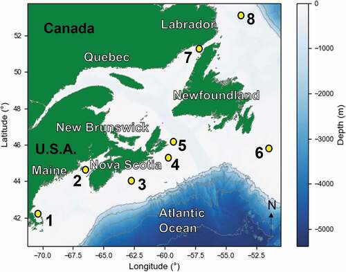 Figure 1. Location of eight recording stations located off eastern Canada (2–8) and the United States of America (1)