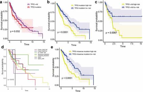 Figure 4. Kaplan-Meier analysis of overall survival according to TP53 mutation status Kaplan-Meier survival by TP53 status (a); in the TP53 mutation subgroup (b); in the TP53 wild-type subgroup (c); with different types of TP53 mutations (d); and in the TP53 missense mutation subgroup (e)