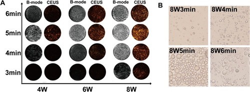 Figure 7 ADV imaging in vitro. (A) B-mode and CEUS images of DPP-R at different duration and power of LIFU. (B) Optical microscope images of phase-transition of DPP-R triggered by LIFU at a power of 8 W from 3 min to 6 min.