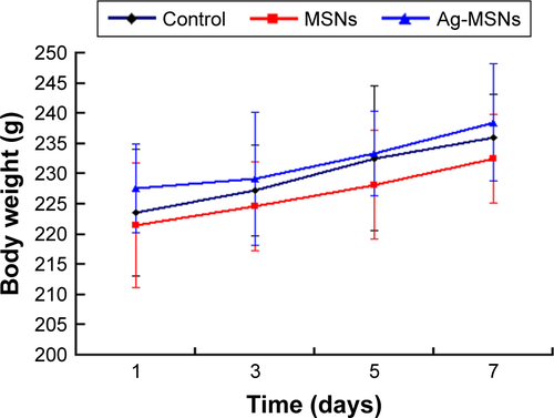 Figure S5 Body weight of rats from each group.Note: Values are mean±SD, n=6.Abbreviations: Ag-MSNs, nanosilver-decorated mesoporous silica nanoparticles; MSNs, mesoporous silica nanoparticles.