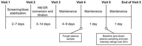 Figure 1 Study design.