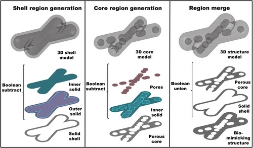 Figure 4. Boolean operations on bar-sphere components to generate bio-mimicking closed-form porous structures.