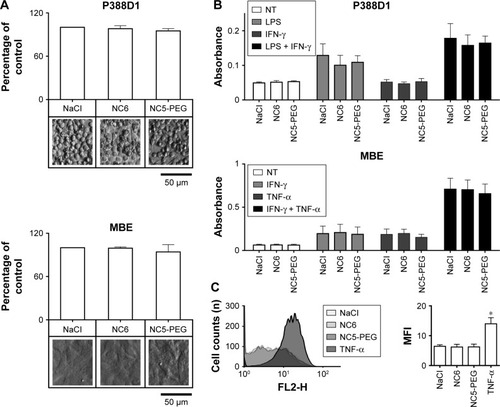 Figure 3 Analysis of inflammatory response to nanocapsules.Notes: (A) Viability of mouse macrophage cell line P388D1 and endothelial MBE cells. The cells were incubated for 48 hours in growth medium with 1.5 mM NaCl or nanocapsules (~2×1011/mL). (B) Analysis of NO production by iNOS. Nitrite levels were measured by Griess reaction after 24 hours incubation of the cells with 1) nanocapsules or NaCl (NT), 2) LPS or cytokines and 3) nanocapsules and LPS or cytokines. (C) Flow cytometry analysis of VCAM-1 expression on MBE cells. MBE cells were incubated for 24 hours with nanocapsules or with TNF and then stained with anti-VCAM-1 antibody. *P<0.05Abbreviations: LPS, lipopolysaccharide; MFI, mean fluorescence intensity; NC5-PEG, five-layer PEGylated nanocapsules; NC6, six-layer nanocapsules; NO, nitric oxide; PEG, polyethylene glycol; TNF, tumor necrosis factor; VCAM, vascular cell adhesion molecule.