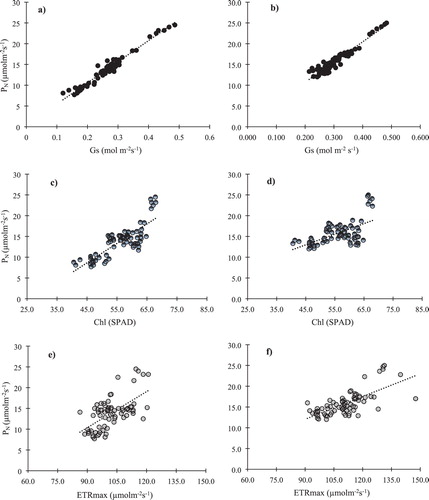 Figure 1. Light curves as affected by the interaction of fertilizer and irrigation levels with and without buried straw layer at flowering stages (a) in 2017 and (b) in 2018, fruiting stages (c) in 2017 and (d) in 2018, and harvesting stages (e) in 2017 and (f) in 2018. Each curve was constructed using three replicates for all the treatments for both years.