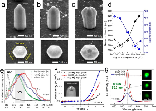 Figure 15. The p-i-n heterostructure NWs from a 45° tilted view and a top-view perspective captured by FE-SEM. These NWs were grown at three different Mg cell temperatures: (a) 310°C, (b) 340°C, and (c) 370°C; (d) presents the changes in NW diameter and length corresponding to the Mg cell temperature variations; (e) normalized CL spectra of doped and undoped GaN NWs; (f) I-V studies of low, medium, and high Mg-doping levels of GaN NWs; (g) EL characteristic spectra of low, medium, and high Mg-doping levels of GaN NWs (measured at 4 V under continuous wave bias). Figures reproduced with permission from Ref. [Citation158], Copyright © 2019, American Chemical Society.