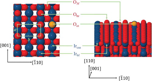 Figure 1. Model representation of top and side views of the IrO2(110) structure with an Oot atom. The Ircus, Ir6f, Obr, Oot and O3f atoms are indicated, where Ir6f and O3f corresponds to 6-fold and 3-fold coordination. Red and blue atoms represent O and Ir atoms, respectively, and the Oot atom is shown in orange.