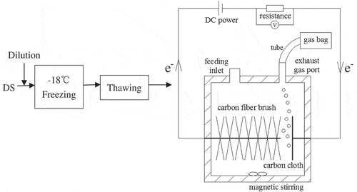 Figure 1. Schematic diagram of the F/T-MEC coupled system