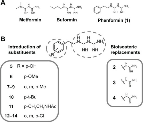 Figure 1 Molecular design and development of biguanide derivatives for anticancer agents targeting TME. (A) Structures of antidiabetic biguanides. (B) Molecular design of biguanide derivatives.