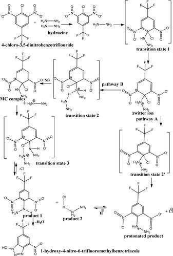 Scheme 3. The suggested SNAr mechanism.