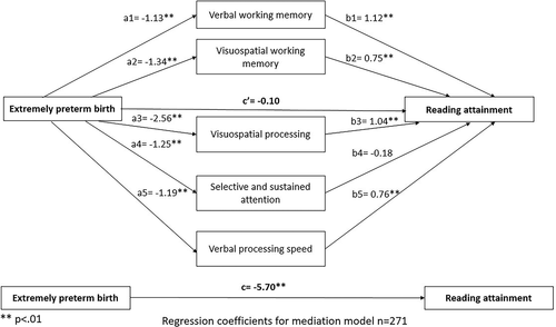 Figure 2. Regression coefficients between EP birth, neuropsychological skills and reading scores.