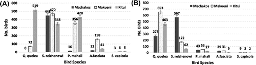Figure 1. Weekly bird species occurrence on ripening sorghum grain in eastern Kenya in 2015–2016 production period.