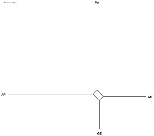 Figure 3. Neighbour-net tree obtained from the DA genetic distance among Pagliarola and the reference breeds.