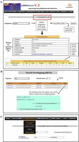 Figure 5. Web interfaces for easy access of piRNAQuest V.2 showing: (a) search options through a piRNA ID and the corresponding result page; (b) search options for pingpong piRNAs and visualizing its pattern; and (c) search options to browse piRNA clusters.