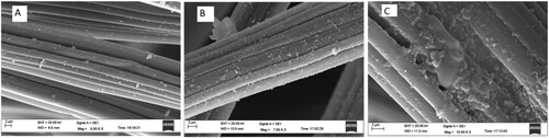 Figure 4. Scanning electron microscopy (SEM) images of the graphite electrode. A: Normal graphite electrode; B: polyaniline multiwalled carbon nanotubule (PANI/ MWCNT)-coated graphite electrode and; C: PANI/MWCNT-coated graphite electrode after microbial fuel cell operation.